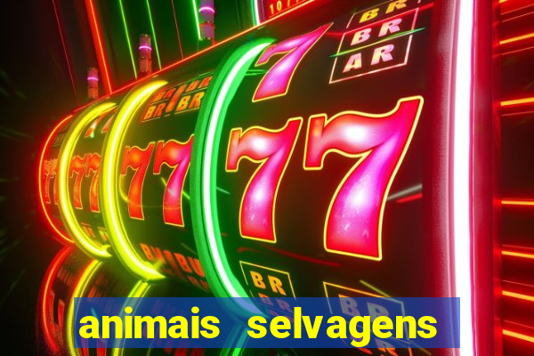 animais selvagens fotos e nomes